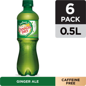 Canada Dry Gngr Ale 16.9ozB
